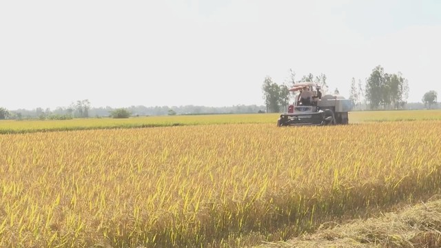 60 Giây ngày 13/1/2026 | Linh vật ngựa “vui vẻ” cao 4m, nặng 6 tấn vừa hoàn thành ở Bắc Ninh - Ảnh 3.