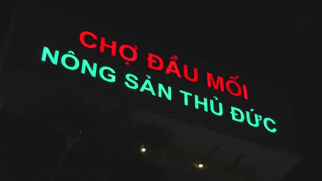 Khu bán kiệu lớn nhất tại TP. Hồ Chí Minh vào mùa Tết: Đa dạng nguồn cung, ổn định giá cả - Ảnh 1.