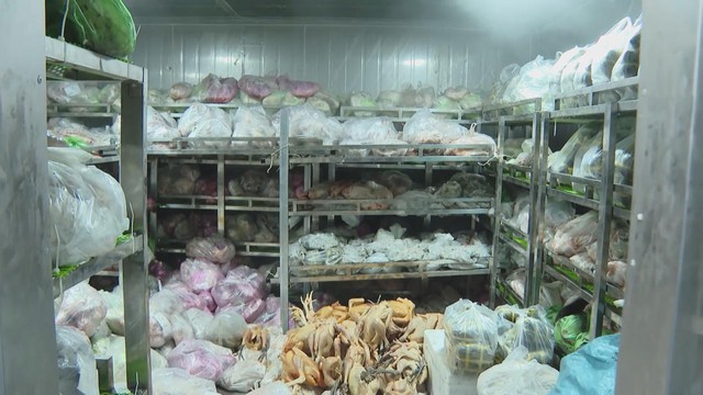 Tàu Tiên Nữ khởi hành tiếp tế Trường Sa, mang Tết ra đảo xa - Ảnh 2.