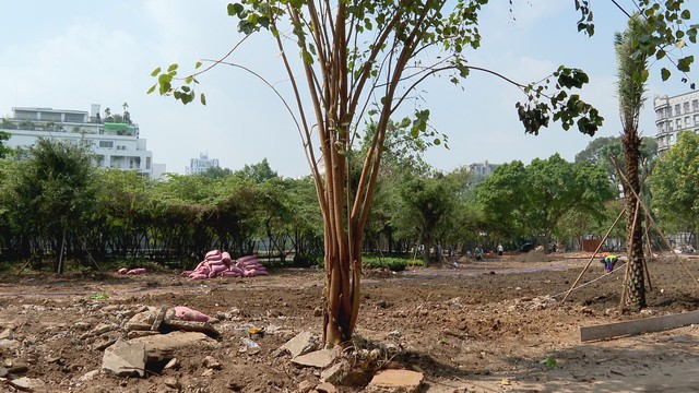 Bí thư Thành ủy TP. Hồ Chí Minh khảo sát các khu đất trống, ưu tiên không gian vui chơi dịp Tết - Ảnh 4.