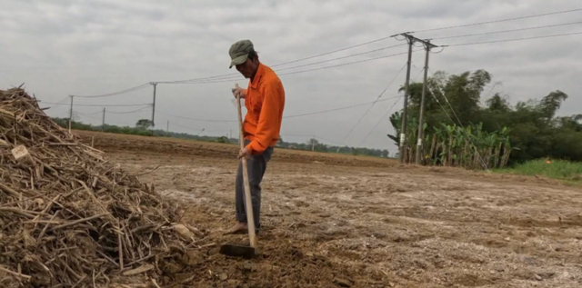 Chậm trễ phục hồi đất sau lũ: Người dân Gò Nổi kêu cứu - Ảnh 1.