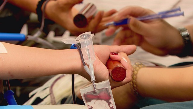 Lễ hội Xuân hồng - Lan toả phong trào hiến máu tình nguyện tại TP. Hồ Chí Minh - Ảnh 2.