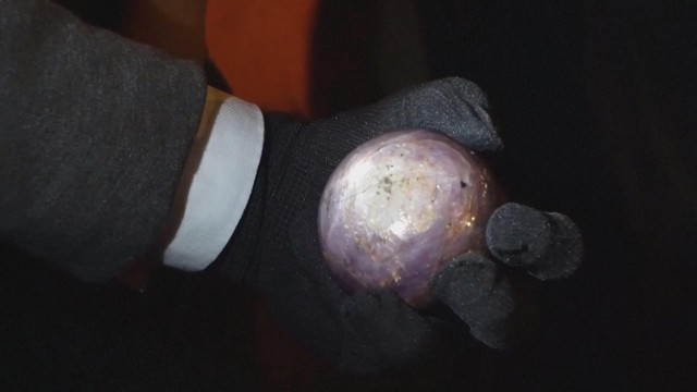 Sri Lanka giới thiệu viên sapphire sao lớn nhất thế giới - Ảnh 3.