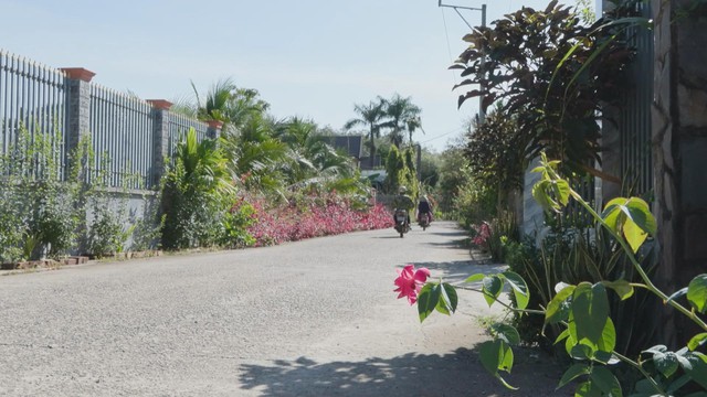 Xã Phú Giáo - Điểm sáng xây dựng nông thôn mới từ những cung đường hoa kiểu mẫu - Ảnh 2.