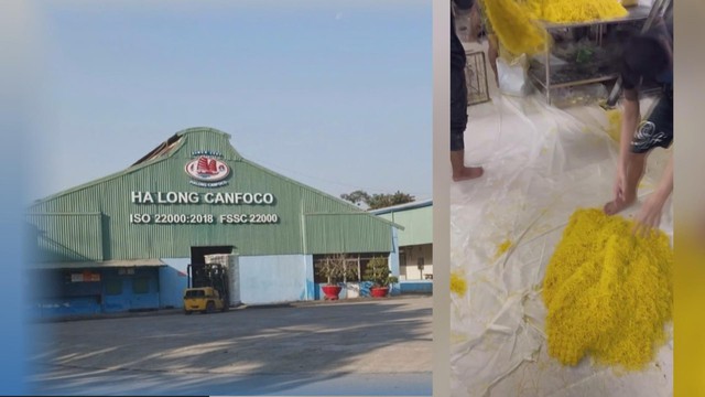 Siết chặt an toàn thực phẩm: Bảo vệ sức khỏe người tiêu dùng, khôi phục niềm tin thị trường - Ảnh 1.