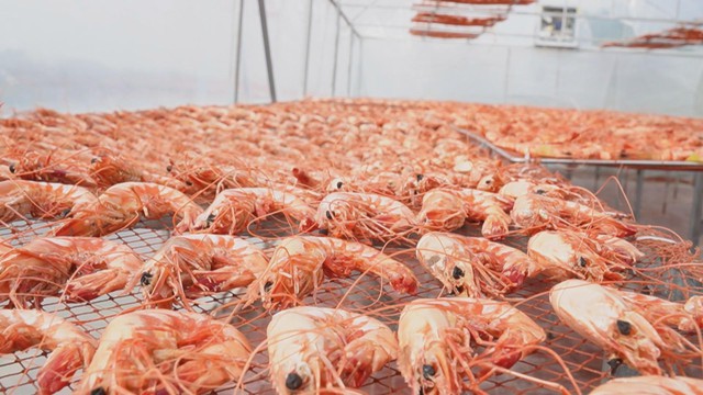 60 Giây ngày 21/1/2026 | Trường học dần hoàn thiện trên khu đất từng là nghĩa trang - Ảnh 2.