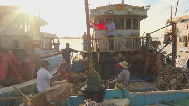 "Còn cờ là còn Tổ quốc": Điểm tựa thiêng liêng của ngư dân giữa trùng khơi - Ảnh 3.