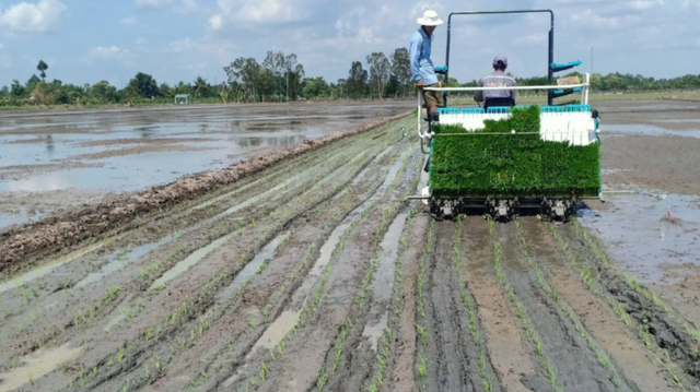 Trường Thành nông thôn mới – khát vọng vươn mình từ nền tảng bền vững - Ảnh 4.