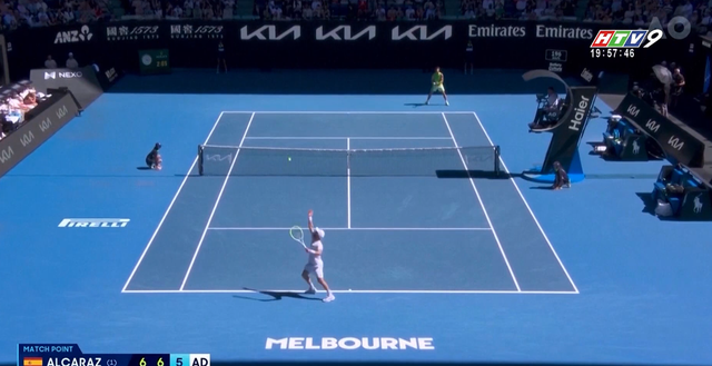 Carlos Alcaraz cân bằng kỷ lục của Bjorn Borg - Ảnh 2.