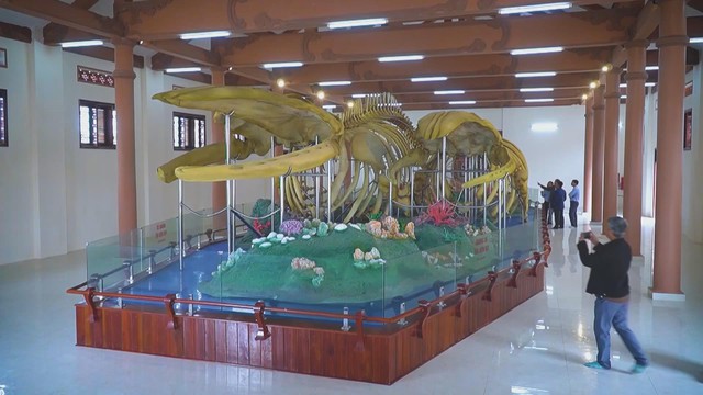 60 Giây ngày 26/1/2026 | Quảng Ninh: Bắt giữ 800 kg vú heo nhập lậu trên biển - Ảnh 3.