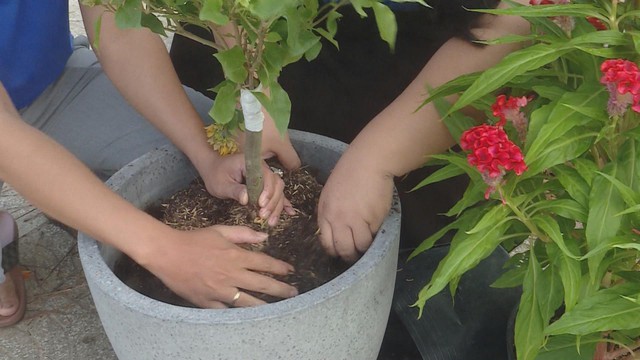 Phường Phú An triển khai công trình dân vận mừng Đảng - mừng Xuân 2026- Ảnh 3. Phường Phú An triển khai công trình dân vận mừng Đảng - mừng Xuân 2026- Ảnh 3.