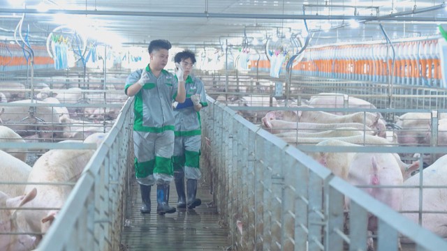 60 Giây ngày 27/1/2026 | TP. Hồ Chí Minh đảm bảo ổn định nguồn thịt dịp cuối năm - Ảnh 1.