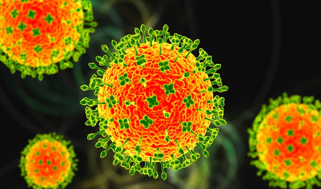 Vi-rút Nipah ít khả năng bùng phát tại Trung Quốc và Đông Nam Á - Ảnh 1.