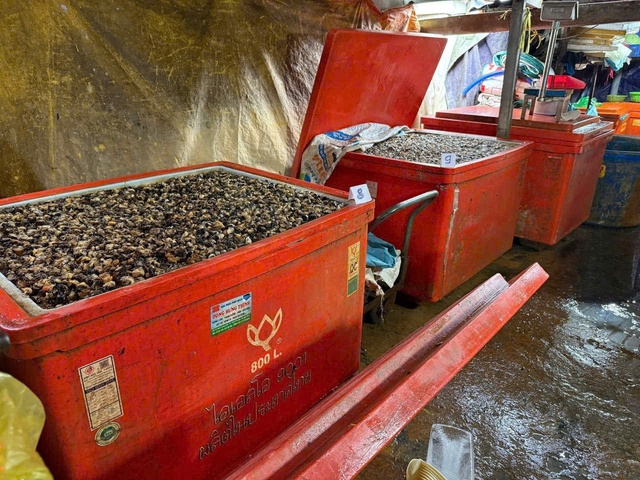 Triệt phá đường dây ngâm thịt ốc bằng hóa chất công nghiệp quy mô đặc biệt lớn  - Ảnh 1.