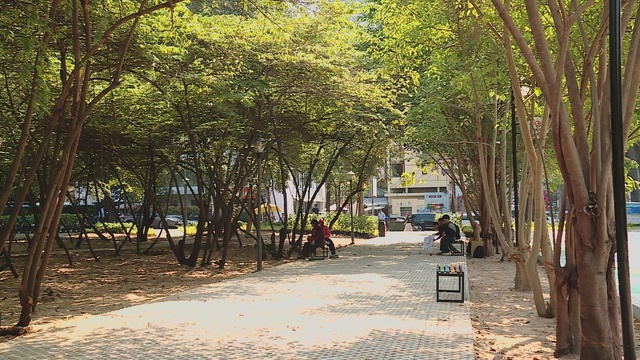 TP. Hồ Chí Minh: Đánh thức “đất vàng” bỏ hoang thành điểm hẹn xanh ngát - Ảnh 5.