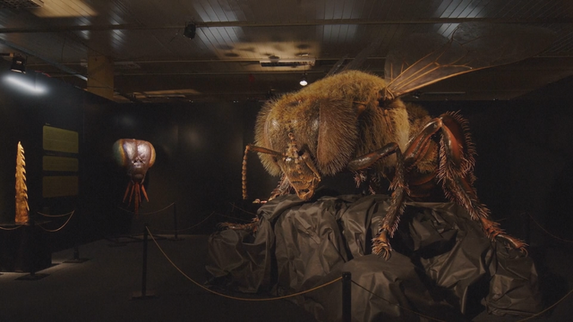 Choáng ngợp trước những con côn trùng "khổng lồ" cao 5 mét, nặng cả tấn - Ảnh 1.