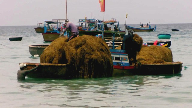 60 Giây ngày 28/1/2026 | Đắk Lắk: Khởi tố người sản xuất gần 2 tạ pháo vì… đam mê - Ảnh 3.