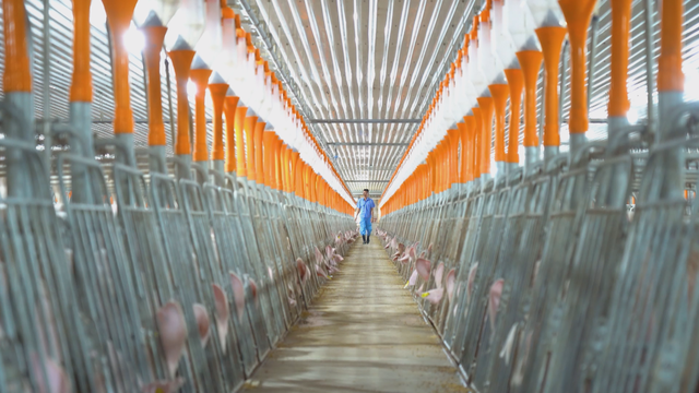 Thời sự HTV ngày 30/1/2026 | Nhiều công trình mang xuân về khu phố - Ảnh 1.