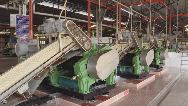 Vươn khơi - Ngày 30/1/2026 |  - Ảnh 2.