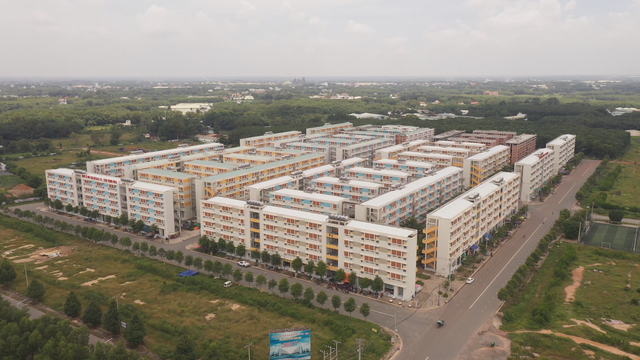 Vươn khơi - Ngày 30/1/2026 |  - Ảnh 1.