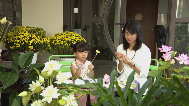 Vươn khơi - Ngày 31/1/2026 | Ngành dệt may Việt Nam tái cấu trúc đơn hàng - Ảnh 3.