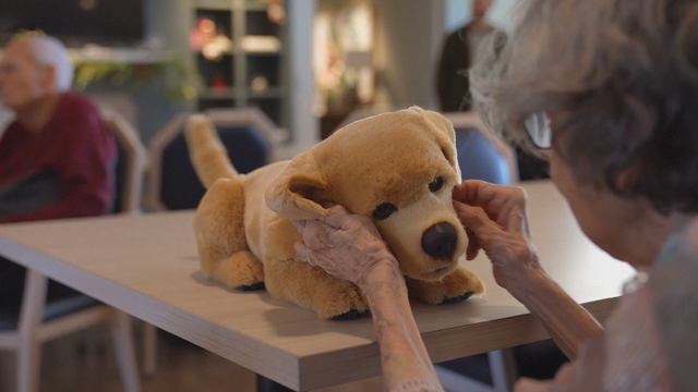 Chó robot: Liệu pháp tinh thần mới cho bệnh nhân alzheimer - Ảnh 1.