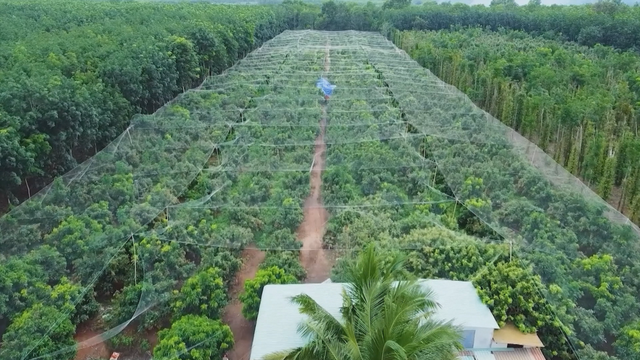 Xây dựng nông thôn mới - xây dựng những vùng quê đáng sống - Ảnh 2.