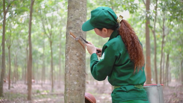 Vươn khơi - Ngày 8/1/2026 |  - Ảnh 3.