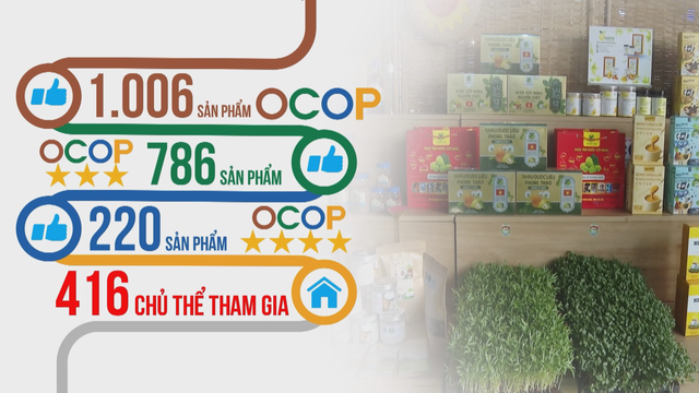 Vươn khơi - Ngày 8/1/2026 |  - Ảnh 2.