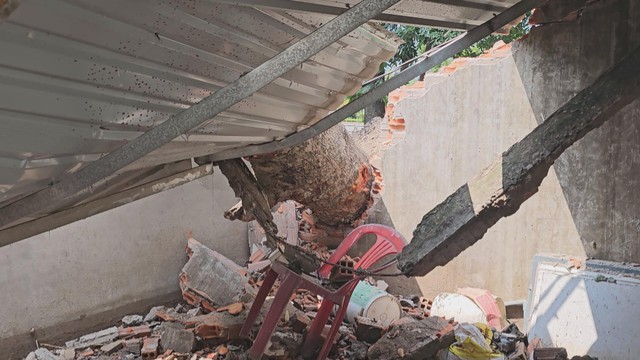 TP. Hồ Chí Minh: Cây xanh bật gốc đề sập tường nhà dân - Ảnh 3.