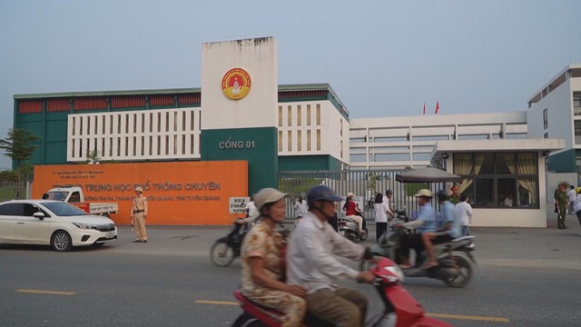 TP. Hồ Chí Minh: cây xanh bật gốc đè sập tường nhà dân | 60 Giây Sáng ngày 2/10/2026  - Ảnh 3.