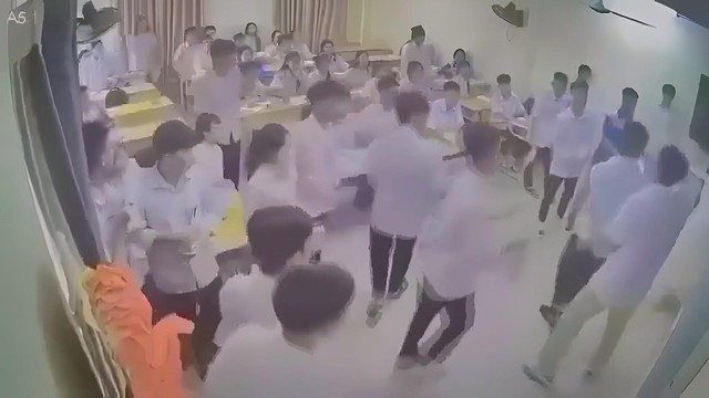 Ghi nhận thêm 35 loài chim mới tại Khu bảo tồn thiên nhiên Đakrông | 60 Giây Sáng ngày 22/10/2026 - Ảnh 3.
