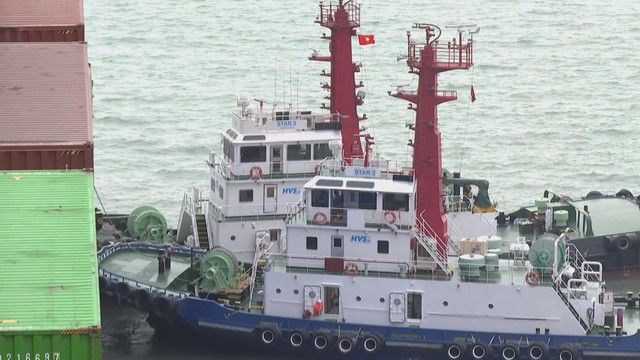 Hai chiếc tàu lai dắt màu trắng, xanh với tháp radar màu đỏ đang áp sát một con tàu chở hàng container lớn màu xanh lá cây và đỏ bã trầu trên mặt biển - Ảnh 3.