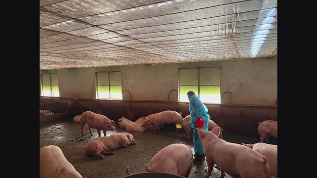 Hàng ngàn người về An Giang tưởng niệm 158 năm ngày giỗ Anh hùng dân tộc Nguyễn Trung | 60 Giây Sáng ngày 5/10/2026 - Ảnh 3.