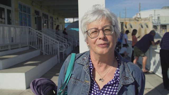 Mỹ: Hàng trăm con heo biển tập trung tại các vùng nước nóng- Ảnh 3.