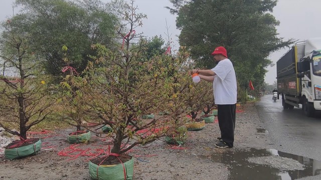 60 Giây ngày 12/2/2026 | TP. Hồ Chí Minh: Cửa ngõ phía Tây ùn ứ, cảnh sát giao thông dầm mưa điều tiết giao thông - Ảnh 8.