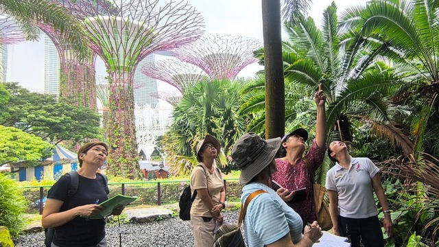 BTS mang "cơn địa chấn" trở lại Singapore sau 7 năm - Ảnh 8.