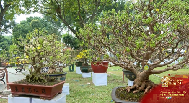 Linh vật Ngựa Bính Ngọ "lộ diện" tại Hội Hoa Xuân Tao Đàn lần thứ 46 - Ảnh 2.