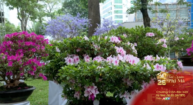 Linh vật Ngựa Bính Ngọ "lộ diện" tại Hội Hoa Xuân Tao Đàn lần thứ 46 - Ảnh 3.