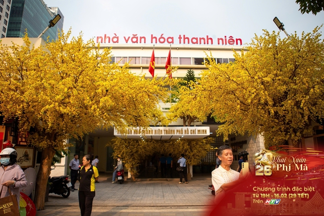Lễ hội Tết Việt 2026: Điểm hẹn văn hóa giao thoa giữa truyền thống và hiện đại - Ảnh 9.