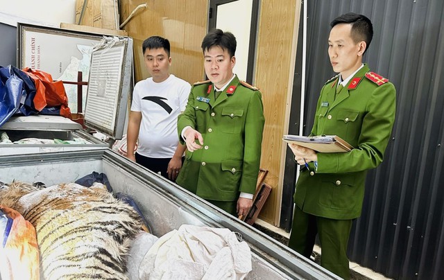 Bỏ 2 tỉ đồng mua 2 con hổ về nấu cao - Ảnh 1.