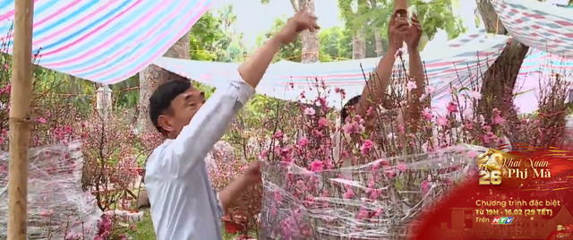 Thời tiết thất thường, tiểu thương chợ hoa Tết đối mặt khó khăn kép - Ảnh 1.