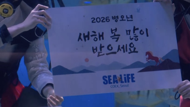 Thợ lặn Hàn Quốc chào đón Tết Nguyên đán dưới nước - Ảnh 2.