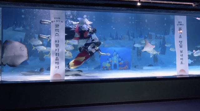 Thợ lặn Hàn Quốc chào đón Tết Nguyên đán dưới nước - Ảnh 4.