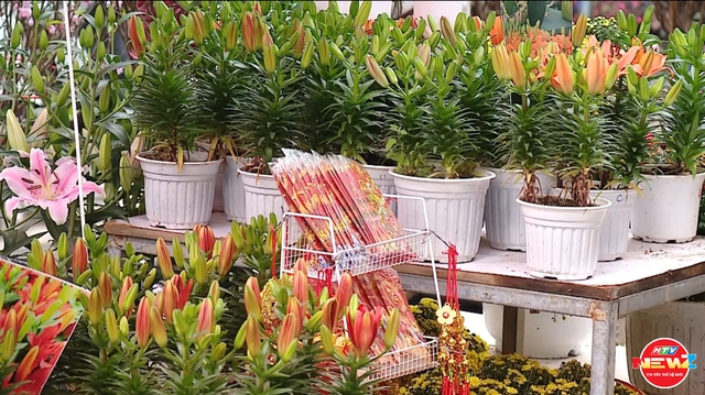 Chợ hoa Hàng Lược: Phiên chợ hơn 100 năm tuổi giữa lòng phố cổ- Ảnh 3.