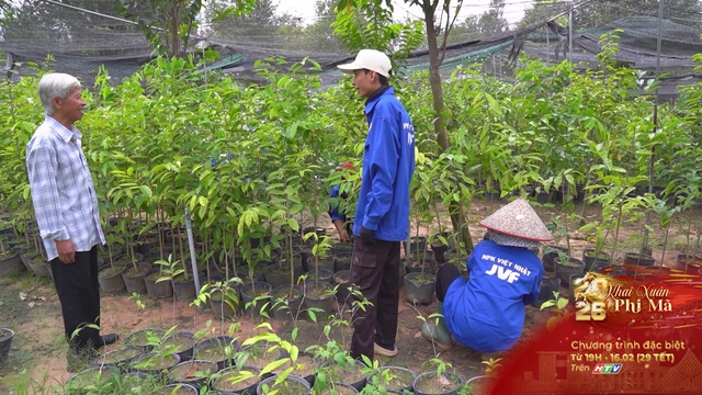 Cây dó bầu mở hướng làm giàu bền vững tại xã Trừ Văn Thố - Ảnh 3.