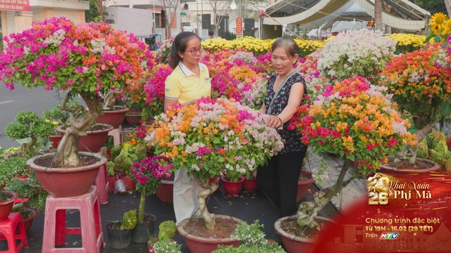 Rực rỡ chợ hoa Xuân Bính Ngọ tại Thủ Dầu Một - Ảnh 2.