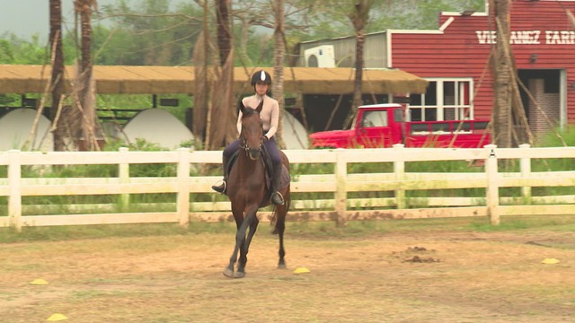 Năm Ngọ nói chuyện ngựa - Ảnh 8.