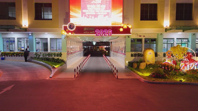 Tết ở bệnh viện Từ Dũ - Ảnh 5.