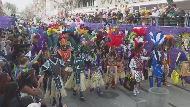 Cuộc diễu hành rực rõ màu sắc Mardi Gras ở New. Orleans, Mỹ - Ảnh 1.
